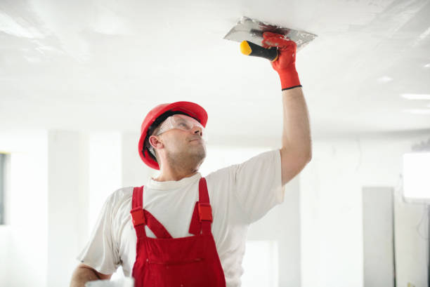 Best Fire-Damaged Drywall Repair  in Spencer, IN